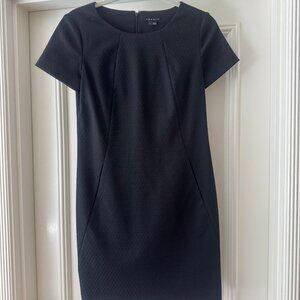 Theory Shift Dress, Size 2